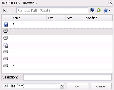 FBS Server - Viewing remote computer resources