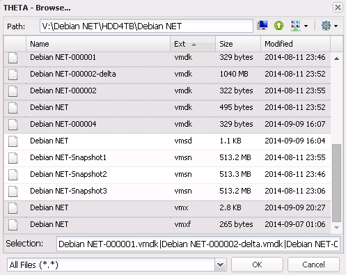 Contenido de los almacenes de datos VMWare ESX asignados con letras de la unidad local