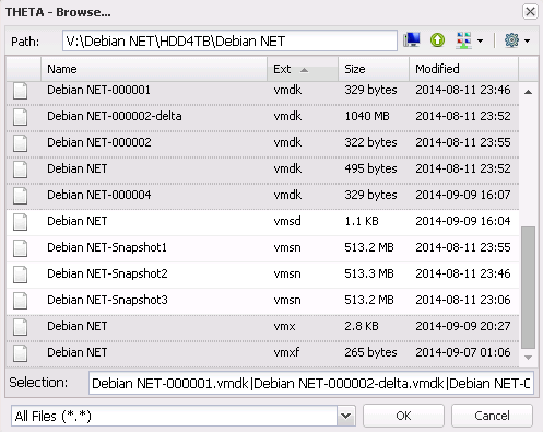 The contents of the VMWare ESX data store mapped under a local disk letter