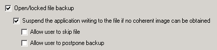 Fig. 2 Open and locked files backup
